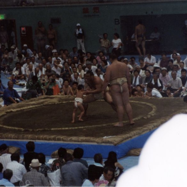 Young Sumo