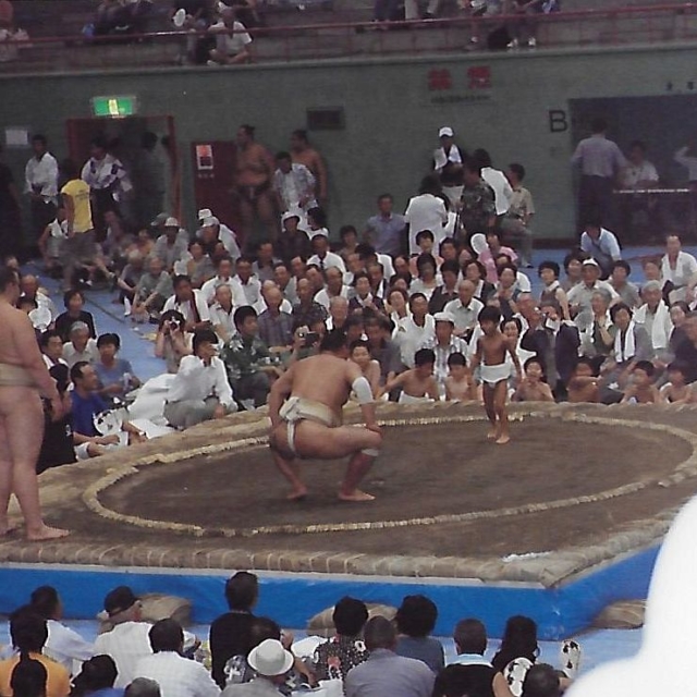 Young Sumo