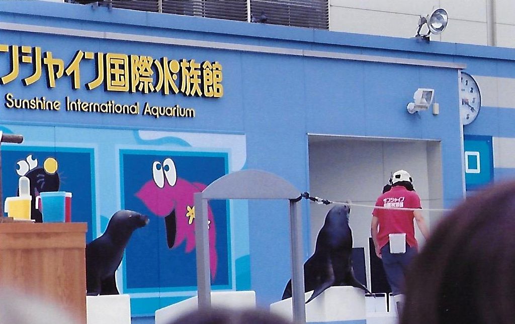 Marine Mammal show at the Aquarium